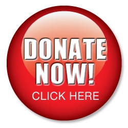 Donate Now!